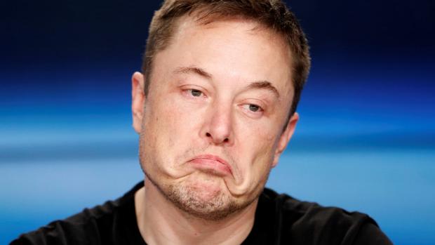 Elon Musk (Tesla)